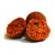 Select Baits Boilies Bio-Krill+ N-Butyric & Indian Spice 16mm 1kg Fierte