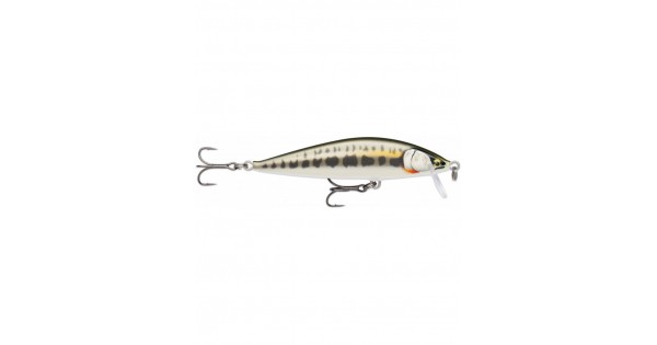 RAPALA CountDown Elite 5.5cm # CDE55-GDRB Lures buy at Fishingshop